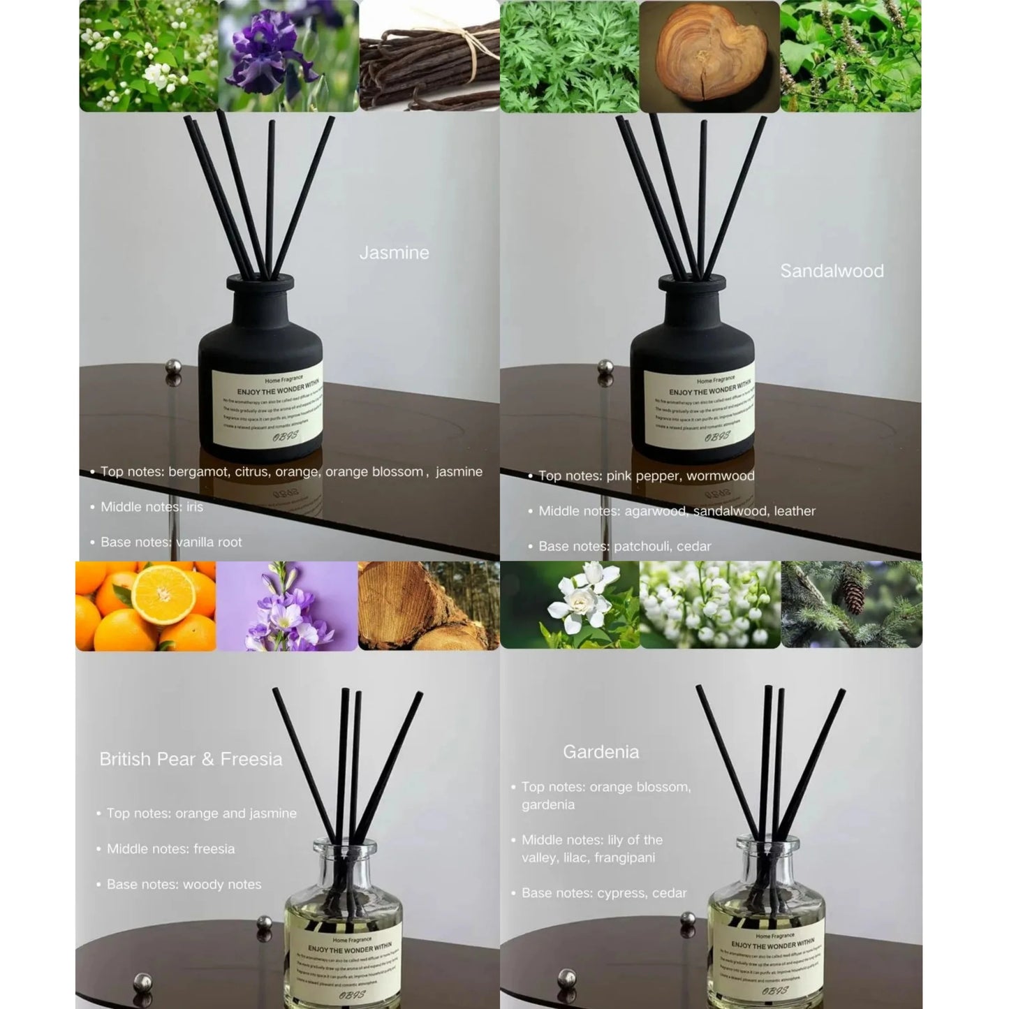Still & Scent